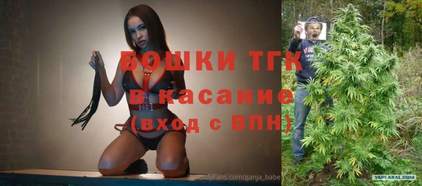 прущий лед Абаза