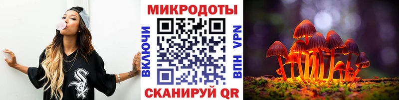 купить закладку  Прохладный  Галлюциногенные грибы прущие грибы 