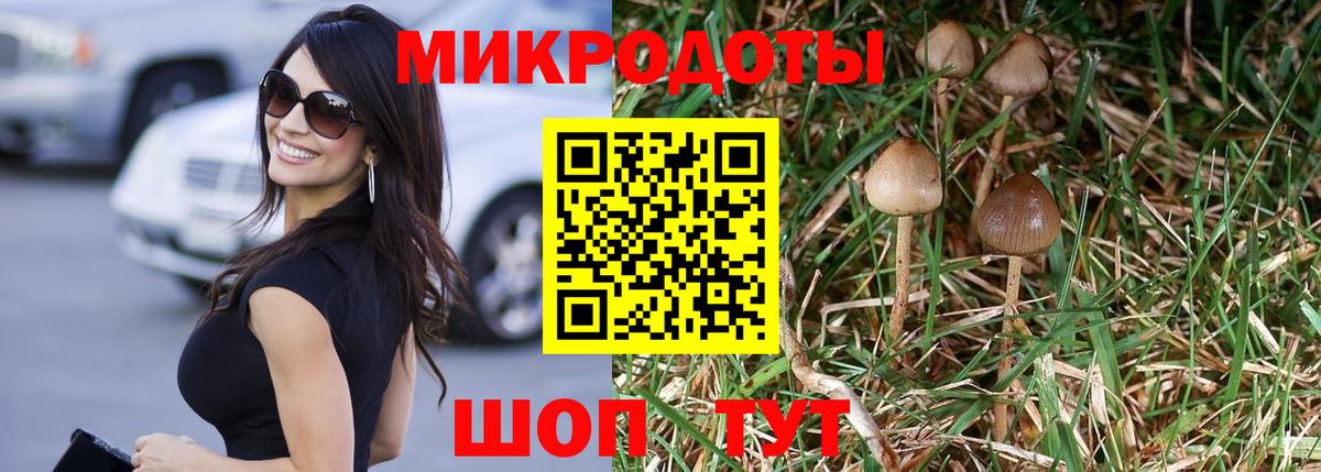 Галлюциногенные грибы ЛСД Прохладный