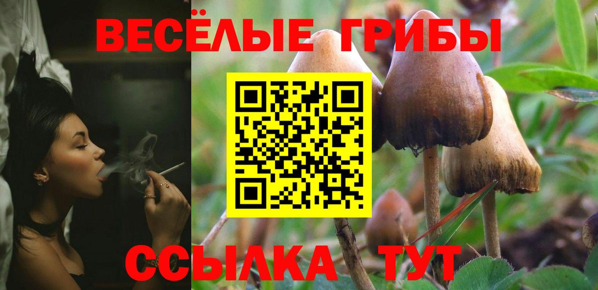 Галлюциногенные грибы Psilocybe  Вход с VPN  Прохладный 